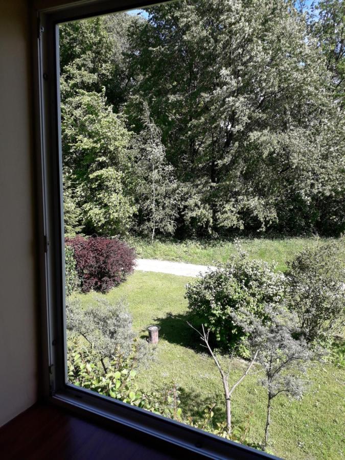 Agrohaczow Za Rzeka Apartament 8-Osobowy Exterior foto